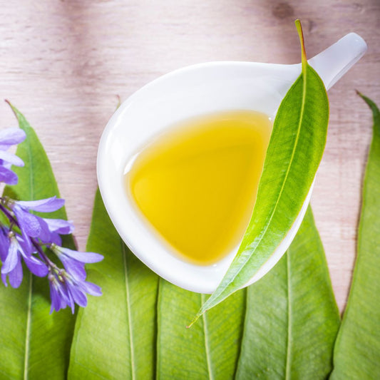 Benefits of Eucalyptus Oil