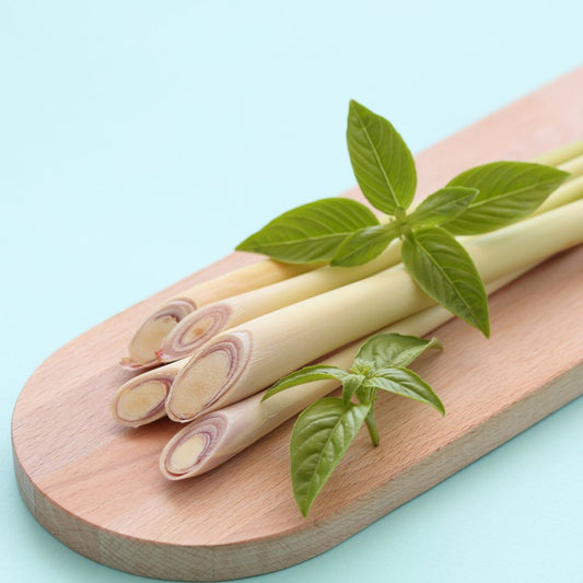 Benefits and Uses Of Lemongrass Essential Oil