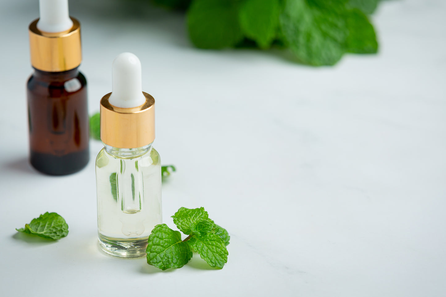 Mentha Arvensis Oil – High Menthol 70-80%