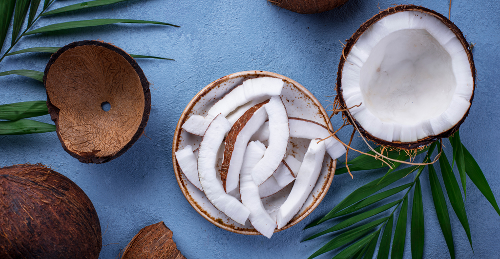 Benefits And Uses Of Fractionated Coconut Oil
