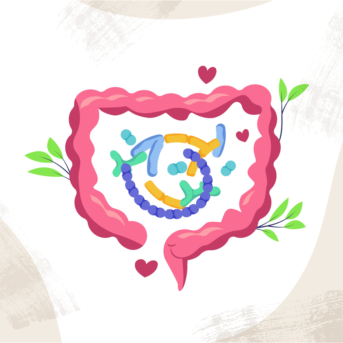 Essential Oils for Gut Health: Nature’s Solution to Digestive Wellness