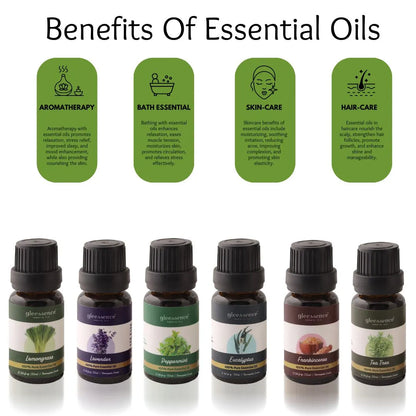 Essential Oils Kit (Pack of 6 Therapeutic Grade Oils)